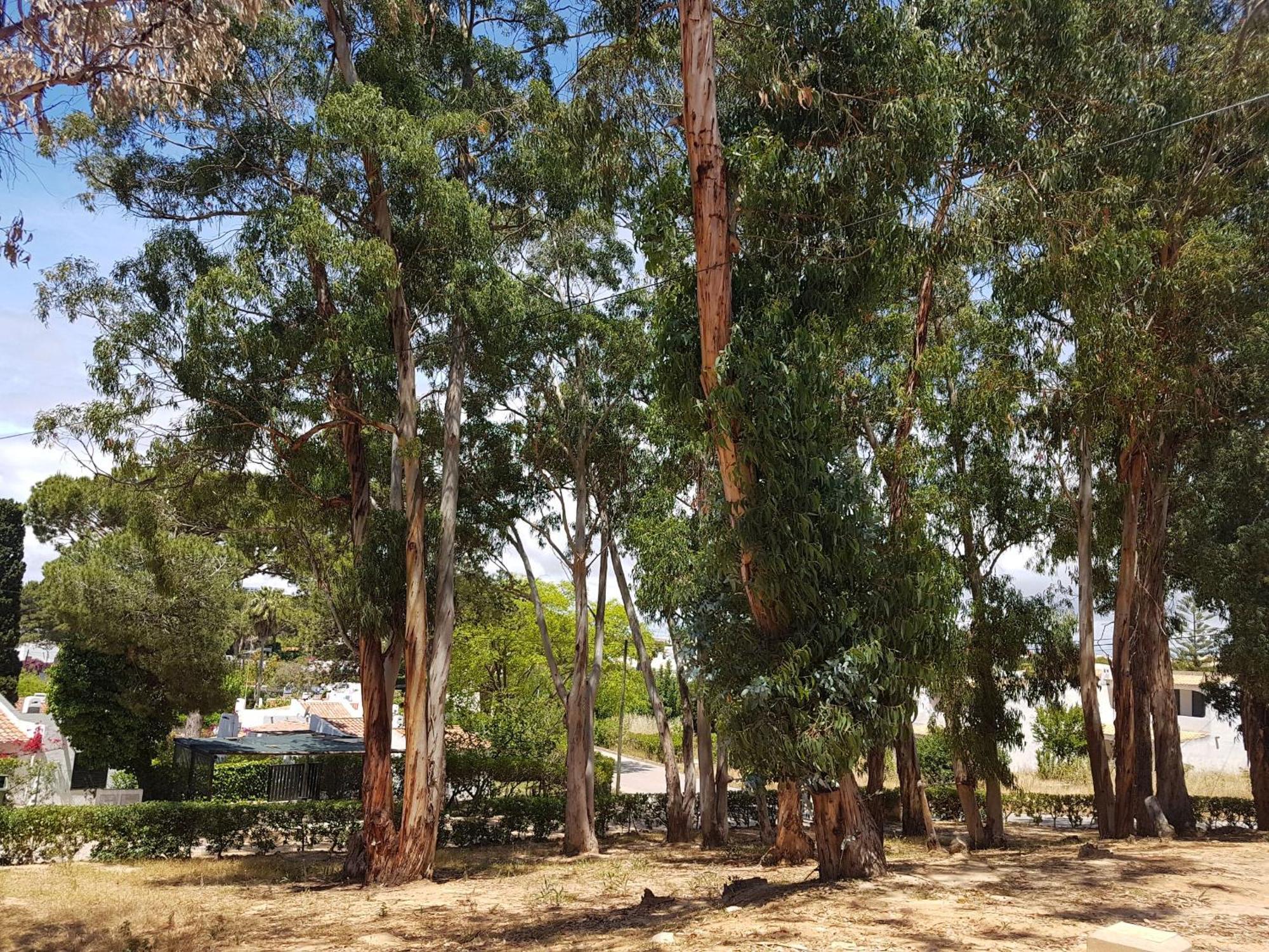 فندق Balaia Gardens, Jardins Da Balaia البوفيرا المظهر الخارجي الصورة